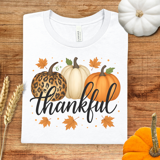 Thankful Pumpkin Fall T-Shirt