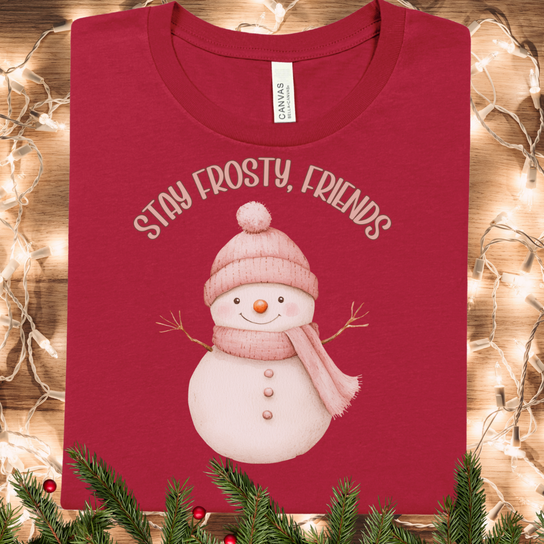 Stay Frosty, Friends Cute Pastel Snowman T-Shirt